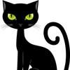 blackcatgrinz
